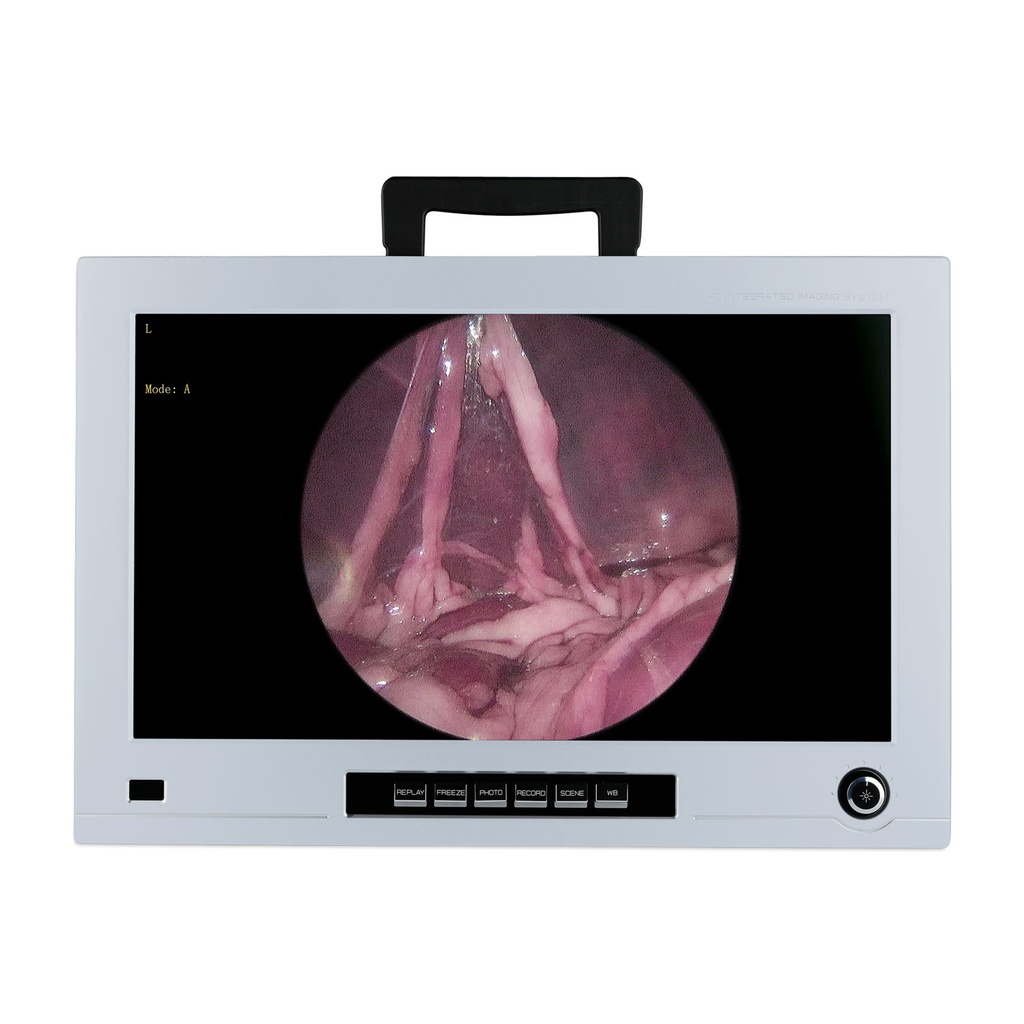 Monitor til endoskopi, EickView 4 i 1, front
